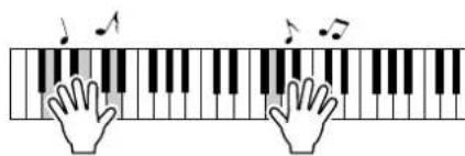 YAMAHA DGX-203 - Jouez au clavier. - 1