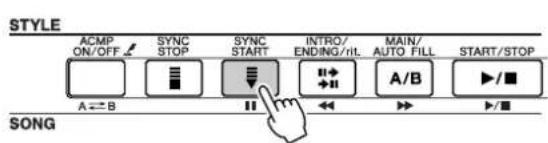 STYLE ACMP ON/OFF SYNC STOP SYNC START INTRO/ ENDING/rit. MAIN/ AUTO FILL START/STOP A B SONG