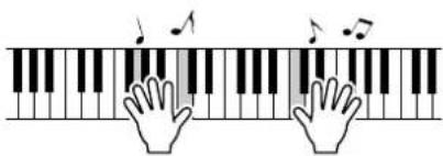 YAMAHA DGX-203 - One Touch Setting - 2