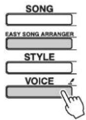 SONG EASY SONG ARRANGER STYLE VOICE
