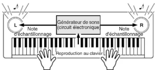YAMAHA DGX-203 - Qu'est-ce que la norme MIDI ? - 2