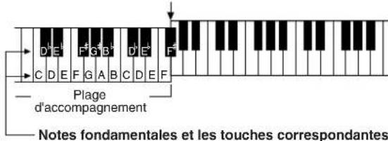 D'E' F'G'B' D'E' F' C D E F G A B C D E F Plage d'accompagnement Notes fondamentales et les touches correspondantes