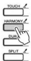 YAMAHA DGX-203 - NOTE - 1