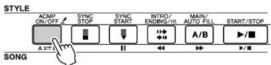 STYLE ACMP ON/OFF SYNC STOP SYNC START INTRO/ ENDING/rit MAIN/ AUTO FILL START/STOP A==I II A/B ▶/■ SONG