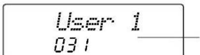 User 1 031