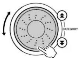 CATEGORY