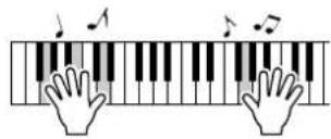 YAMAHA DGX-203 - ATTENTION - 2