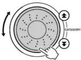 CATEGORY