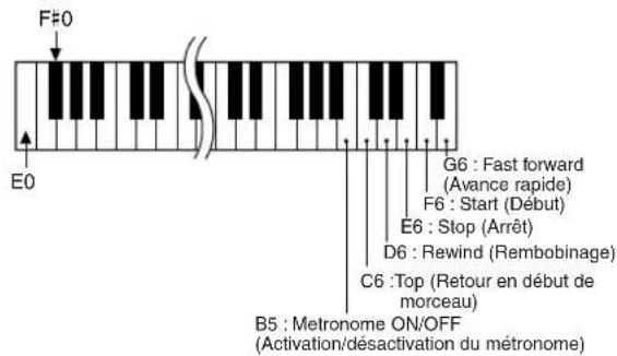 F#0 E0 G6 : Fast forward (Avance rapide) F6 : Start (Début) E6 : Stop (Arrêt) D6 : Rewind (Rembobinage) C6 : Top (Retour en début de morceau) B5 : Metronome ON/OFF (Activation/désactivation du métronome)