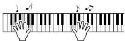 YAMAHA DGX-203 - Jouez au clavier. - 1