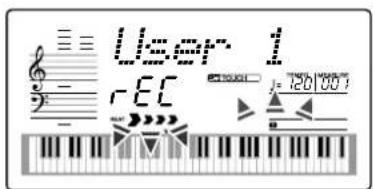 User 1 rEC TWO 750/007