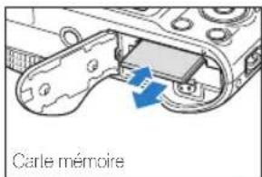 Carle mémoire