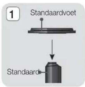 1 Standaardvoet Standaard