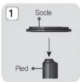 1 Socle Pied
