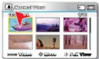Normal View 100 out 143 2008 Video Move New View