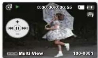 0:00:00/0:00:55 Multi View 100-0001