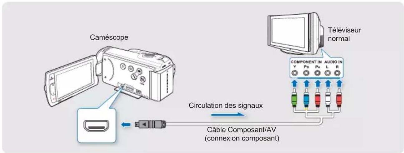 Caméscope Téléviseur normal Circulation des signaux Câble Composant/AV (connexion composant)