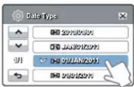 Date Type 2010/01/01 JAN/01/2011 01/01/2011 01/01/2011