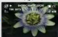 SAMSUNG HMX-H305BP - مثال على تسجيل الوقت المنquistى - 4