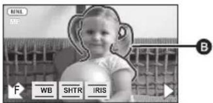 B WB SHTR IRIS