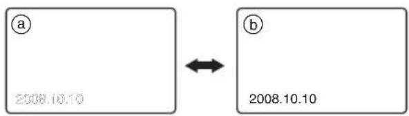 (a) 2008.10.10 (b) 2008.10.10