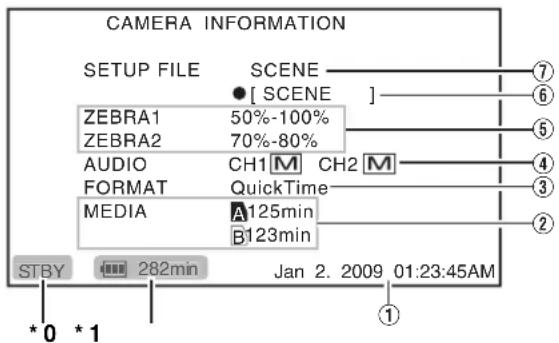 CAMERA INFORMATION SETUP FILE SCENE ● [ SCENE ] ZEBRA1 50%-100% ZEBRA2 70%-80% AUDIO CH1 M CH2 M FORMAT QuickTime MEDIA A125min B123min STBY 282min Jan 2. 2009 01:23:45AM * 0 * 1