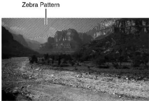Zebra Pattern