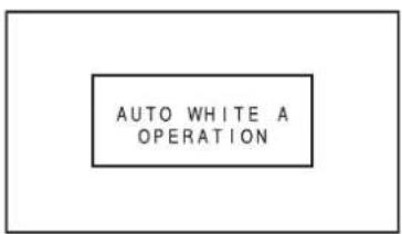 AUTO WHITE A OPERATION