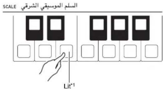 CASIO AT-5 - Use buttons D-6 (KEY C) through D-17 (KEY B) to specify the note you want to lower. Press the button with the note name. - 1