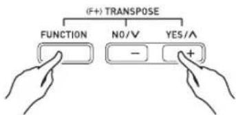 (F+) TRANSPOSE FUNCTION NO/V YES/A - +