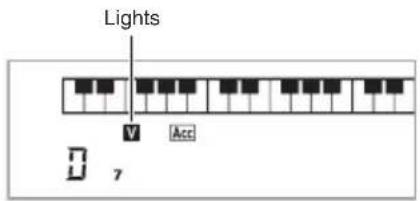 Lights V Acc D 7