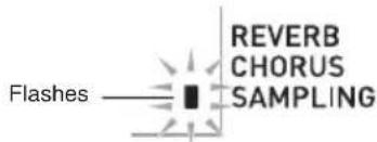 Flashes REVERB CHORUS SAMPLING