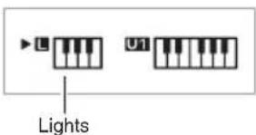 Lights