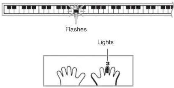 Flashes Lights 3