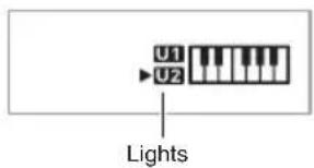 U1 U2 Lights