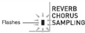 Flashes REVERB CHORUS SAMPLING