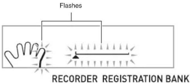 Flashes RECORDER REGISTRATION BANK