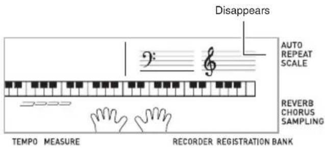 Disappears AUTO REPEAT SCALE REVERB CHORUS SAMPLING TEMPO MEASURE RECORDER REGISTRATION BANK