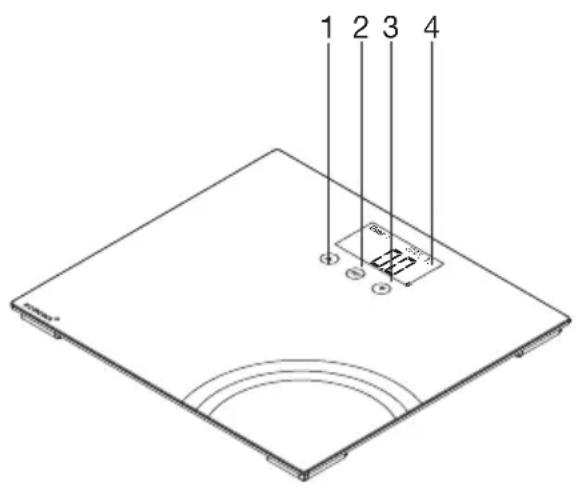 1 2 3 4 + - + - + - + - + - + -