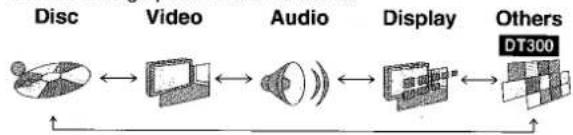 graph LR A["Disc"] --> B["Video"] B --> C["Audio"] C --> D["Display"] D --> E["Others DT300"]