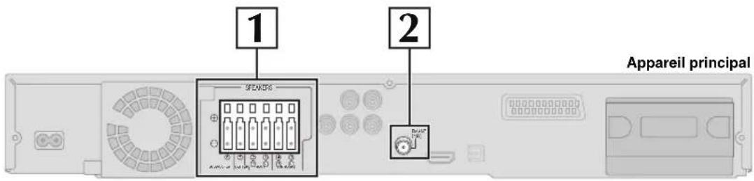 PANASONIC SC-PT860 - Branchements du câble - 1
