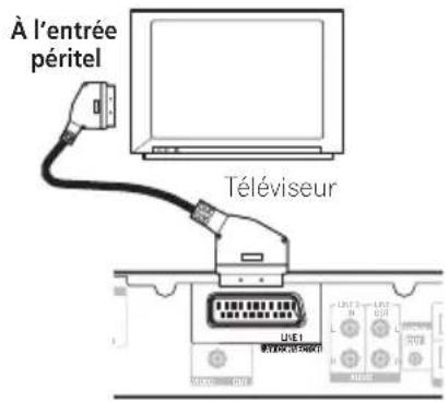 À l'entrée péritel Téléviseur LKE1 RÉTÉRÉC (2015/2016)