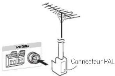 ANTENNA Connecteur PAL