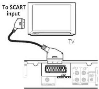 To SCART input TV