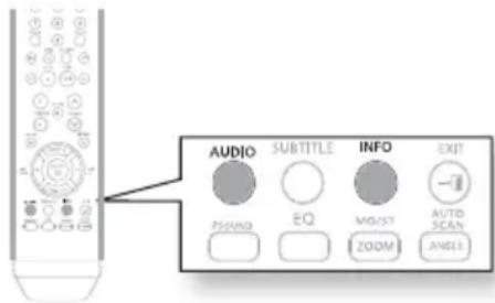 AUDIO SUBTITLE INFO EXIT POUND EQ MOIST ZOOM AUTO SCAN ANGLE