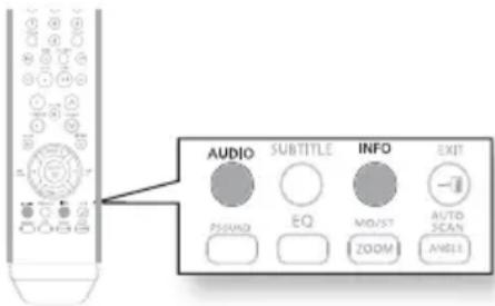 AUDIO SUBTITLE INFO EXIT POUND EQ MOIST ZOOM AUTO SCAN ANGLE