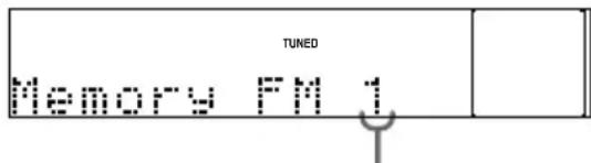 TUNED Memory FM 1