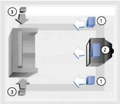 THOMSON DPL560HT - Magnetic shielding - 1
