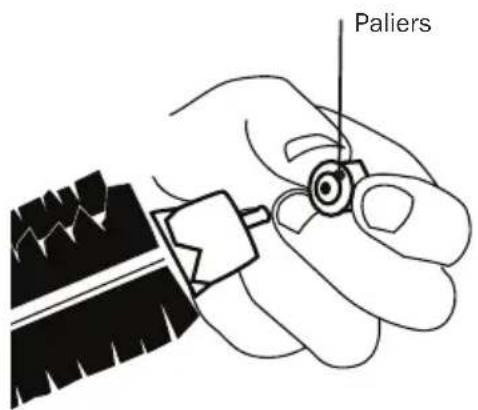 Paliers