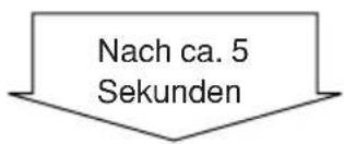 Nach ca. 5 Sekunden